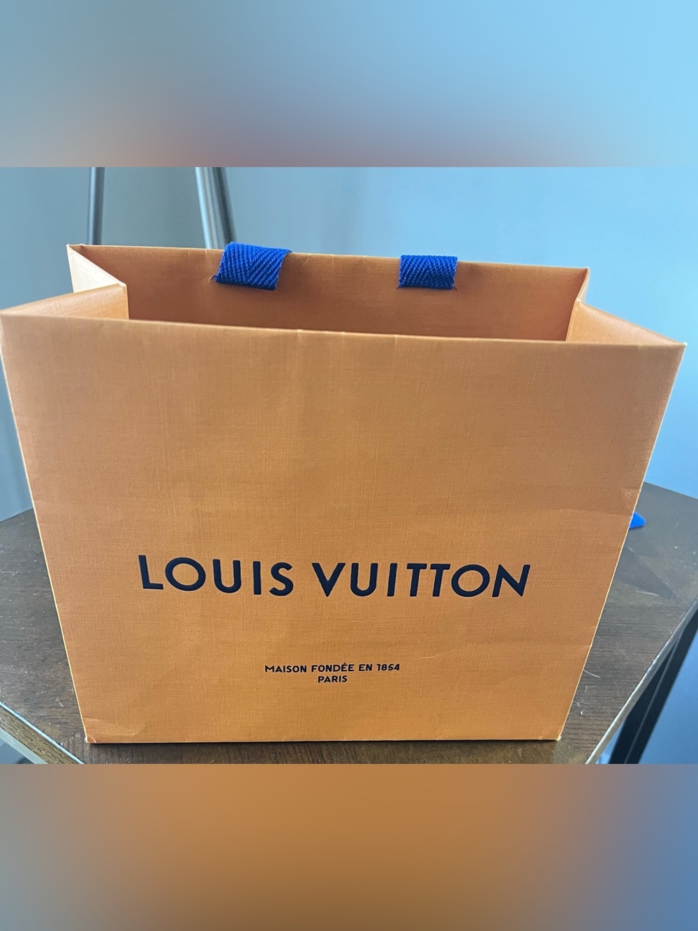 EMPTY - Louis Vuitton Small Shopping Bag